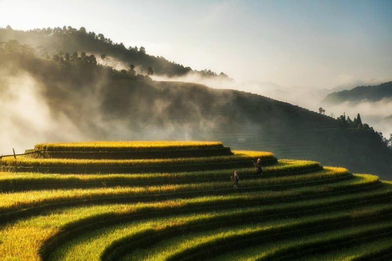 Landscape view of Sapa