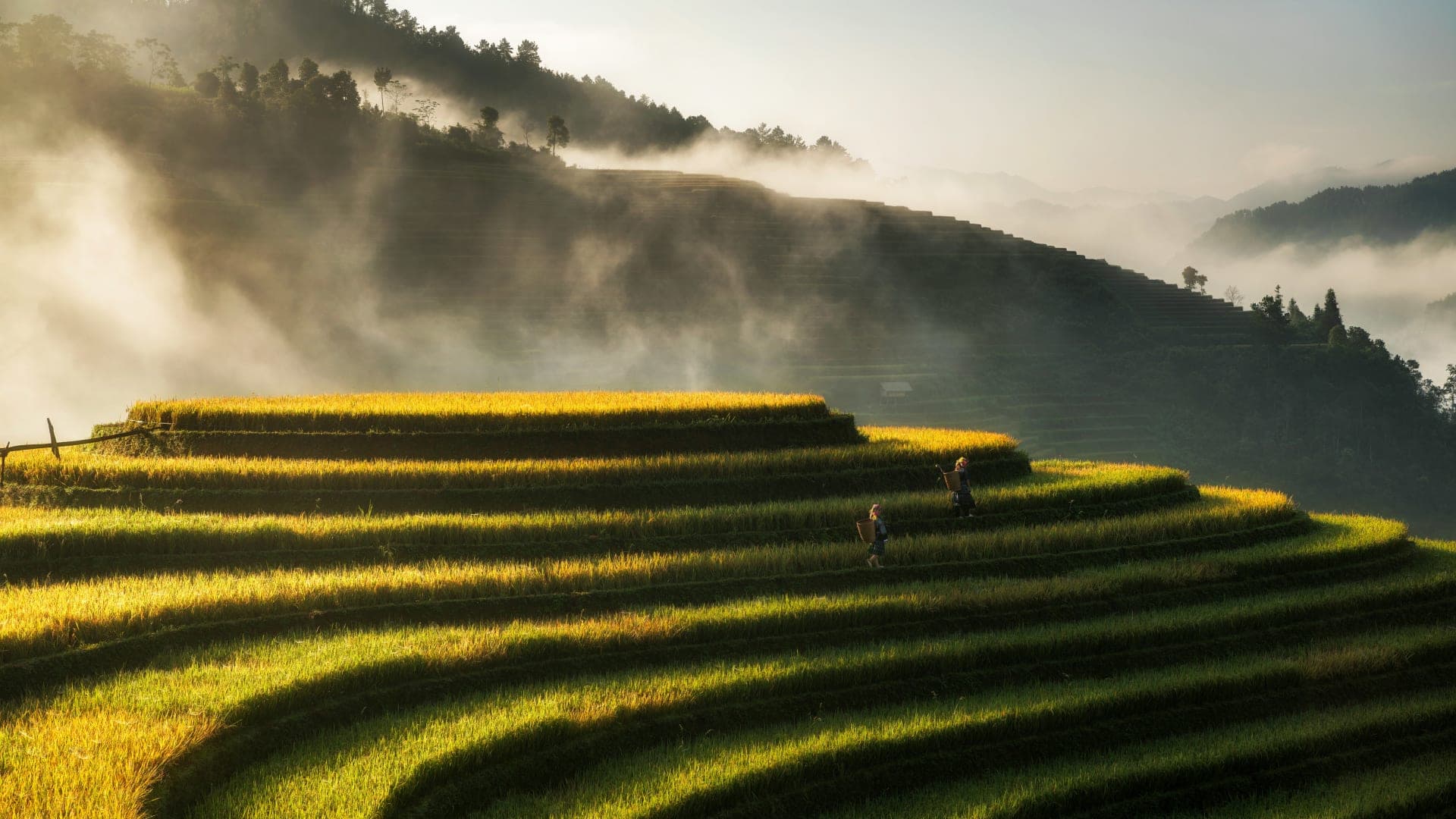 Landscape view of Sapa